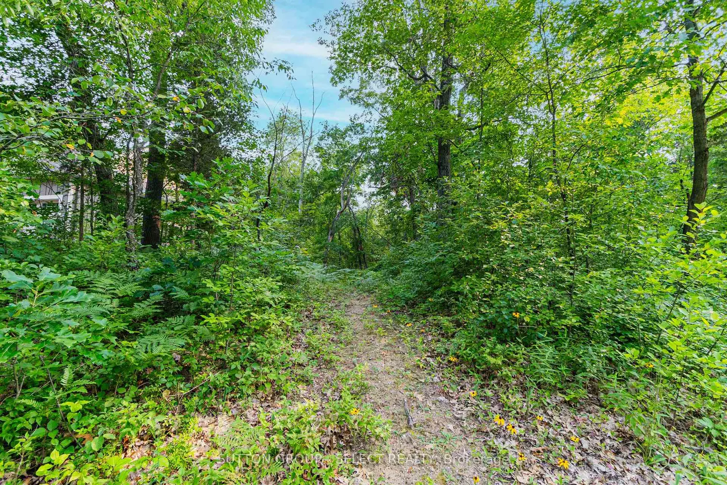 Additional image 12 of 10142 Pinery Bluffs Road