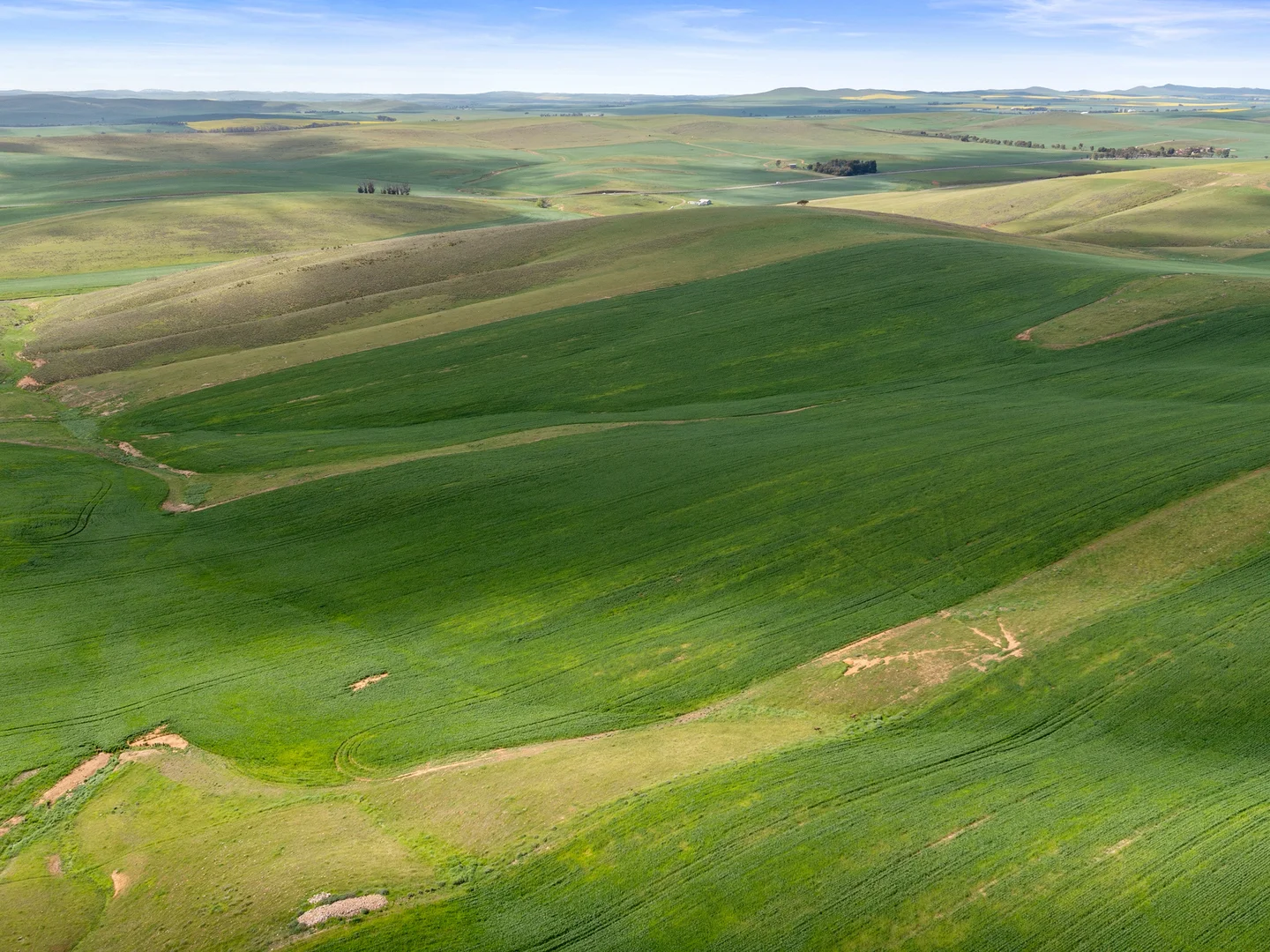 Additional image 8 of 2489 R M Williams Way, Spalding SA 5454