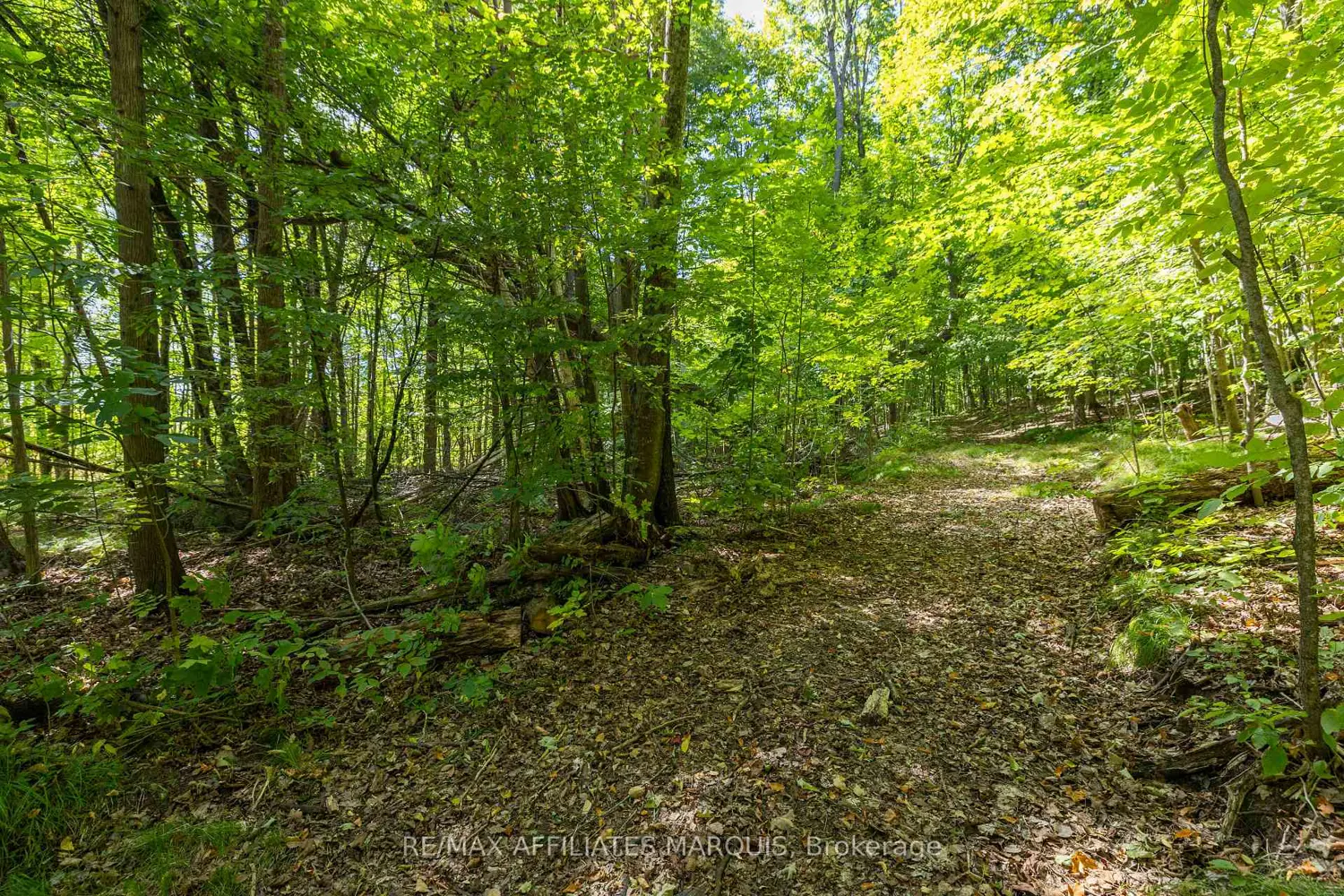 Additional image 5 of 19112 Hwy 7 Highway