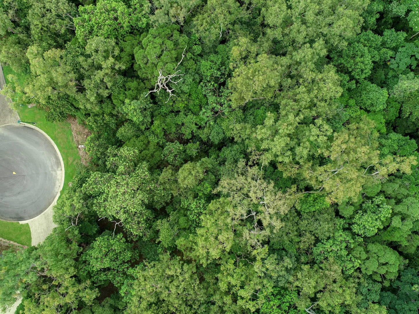 Additional image 5 of 21-23 Waterview Close, Kewarra Beach QLD 4879