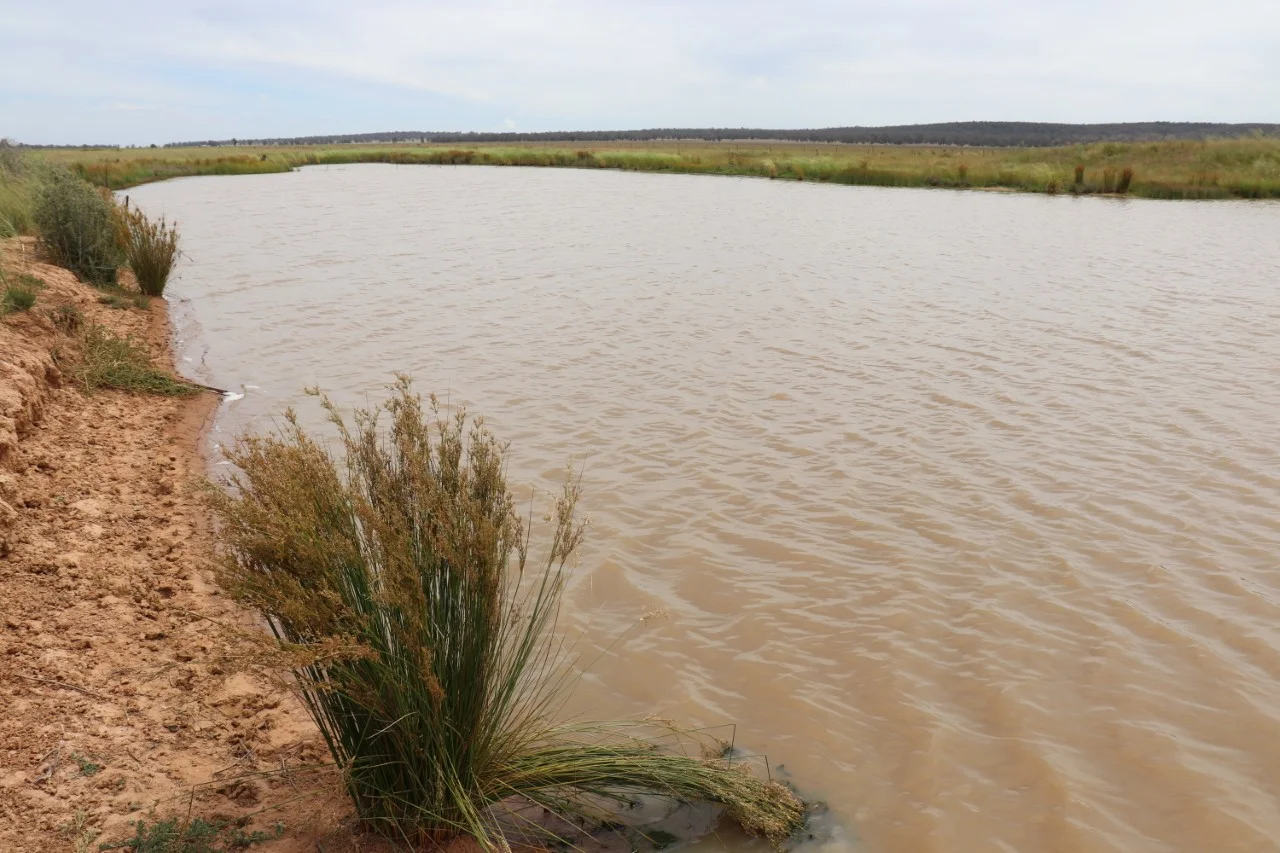 Additional image 25 of 72 Boorr Hill Road, Parkes NSW 2870