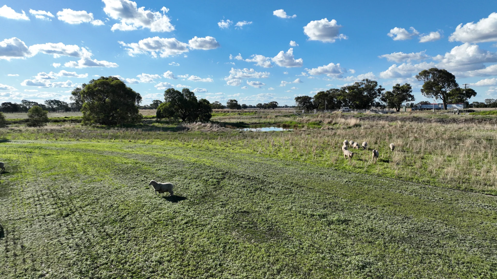 Additional image 8 of "Goonwarra"/1 Warragoon Road, Deniliquin NSW 2710
