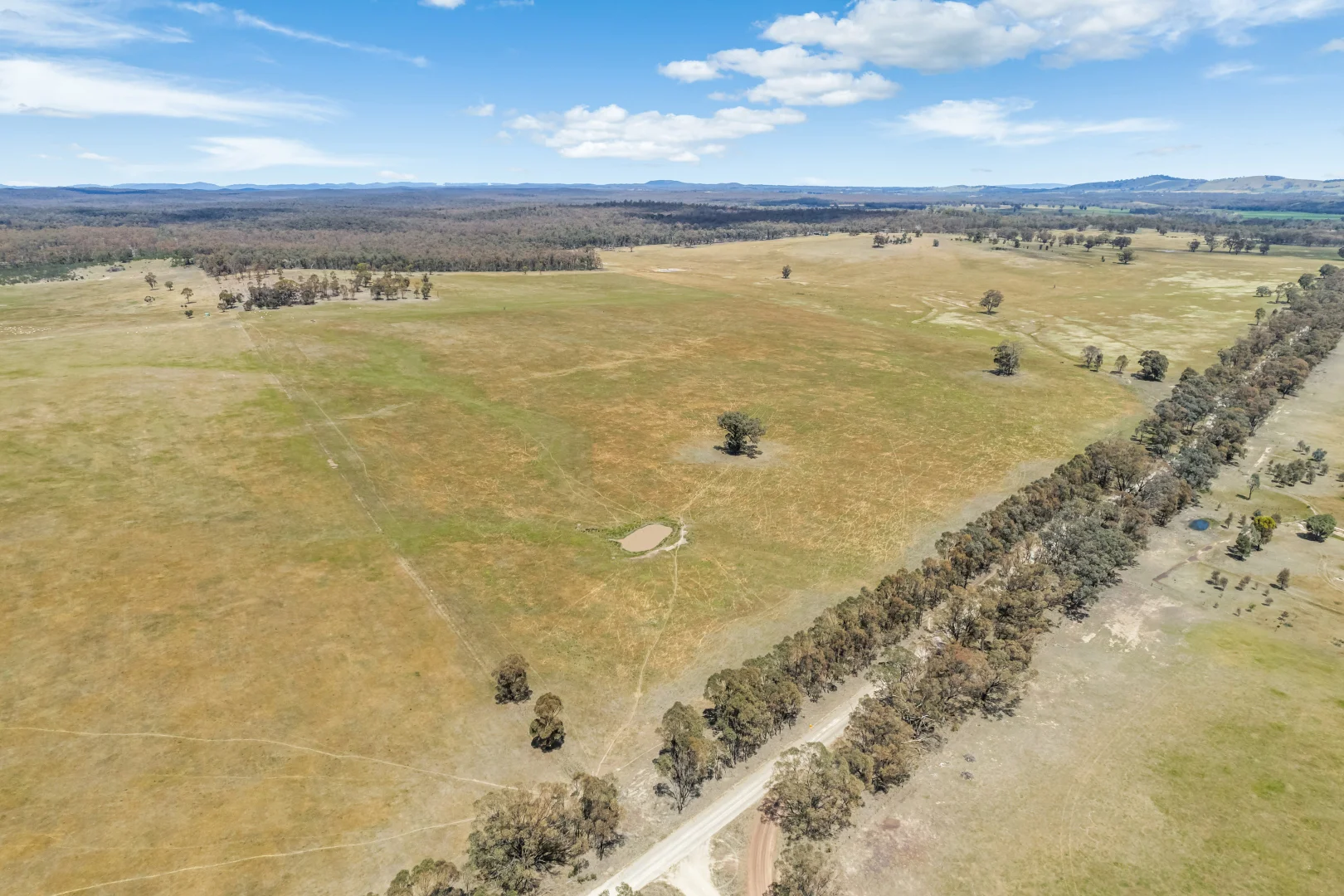 Additional image 5 of 850 Tait Hamilton Road, Gobarup VIC 3559