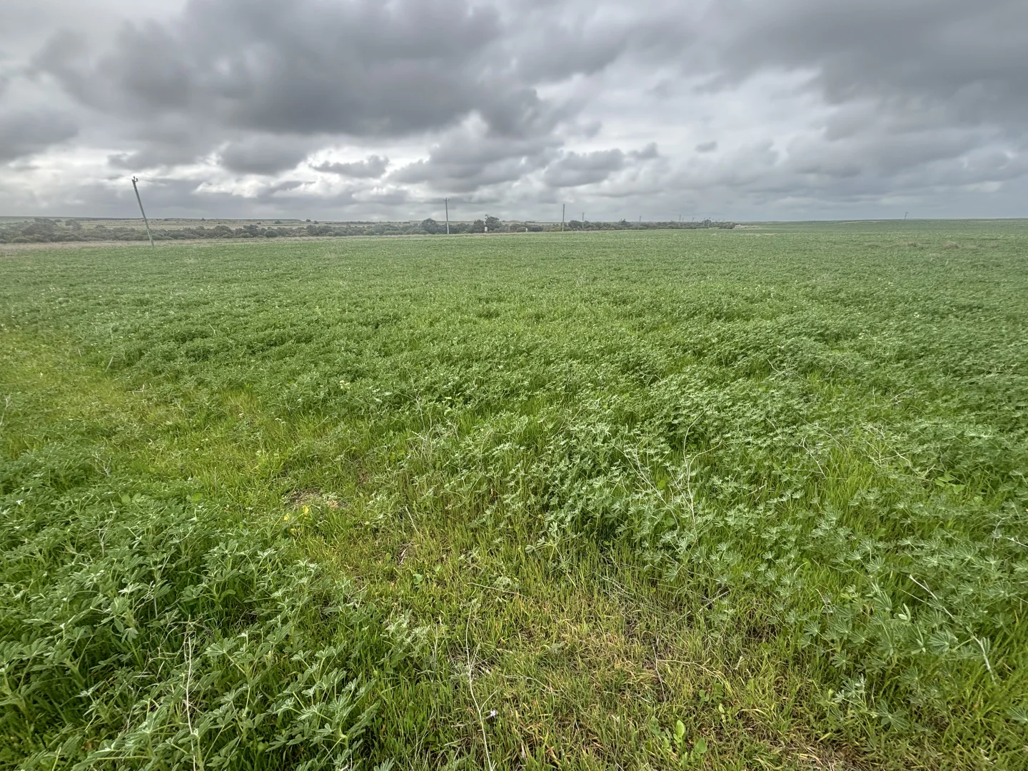 Additional image 9 of Lot 17 White Cliffs Road, Sandy Gully WA 6535