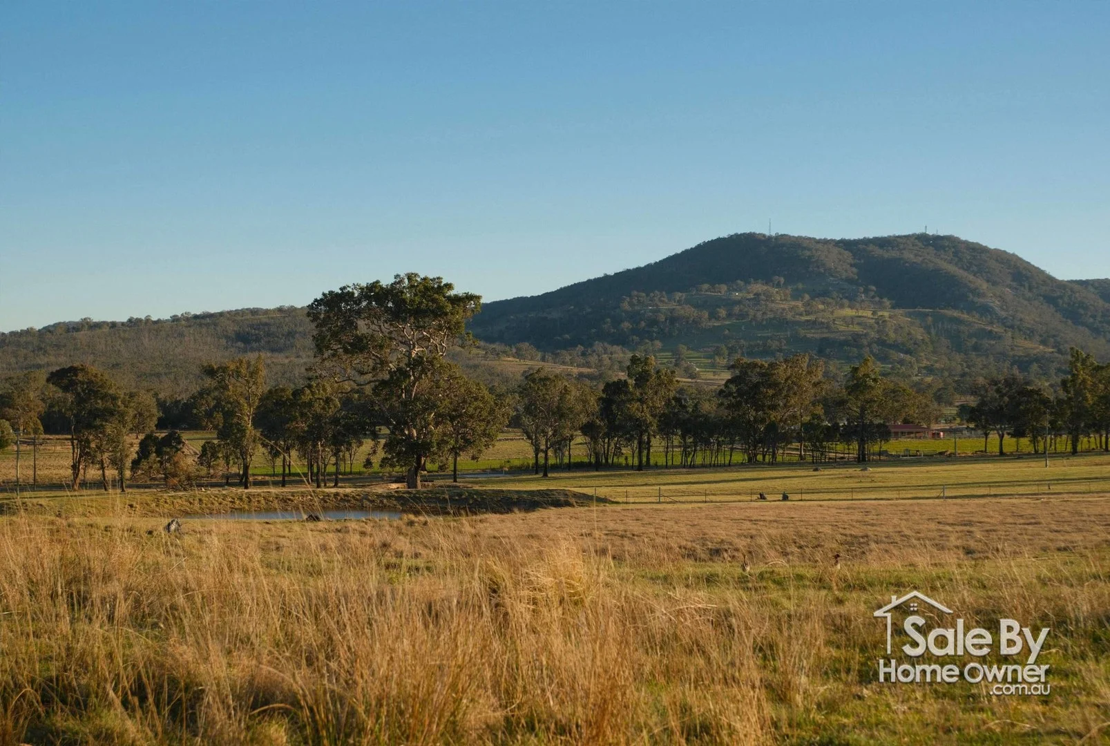 Tenterfield NSW 2372
