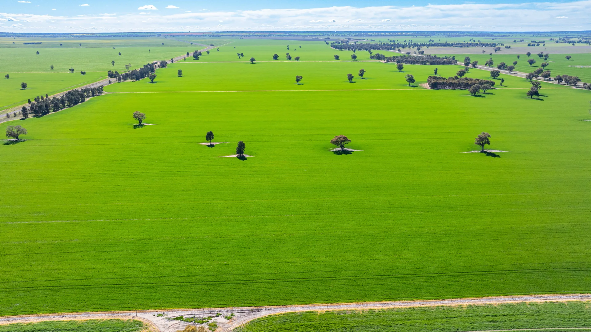 Additional image 5 of 119 Oak Lodge Rd, Sanger NSW 2646