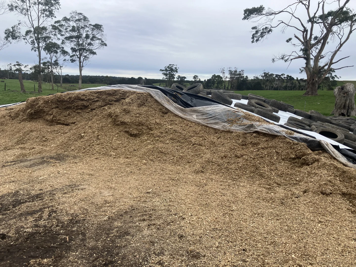 Additional image 11 of 67 Myrtle Grove Road, Wiltshire TAS 7321