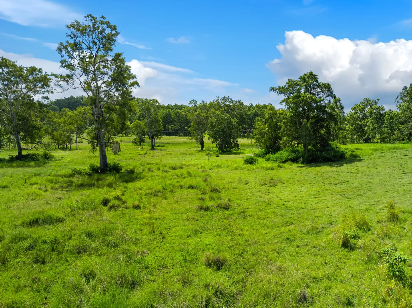 Additional image 7 of 57 Hancocks road, Piora NSW 2470