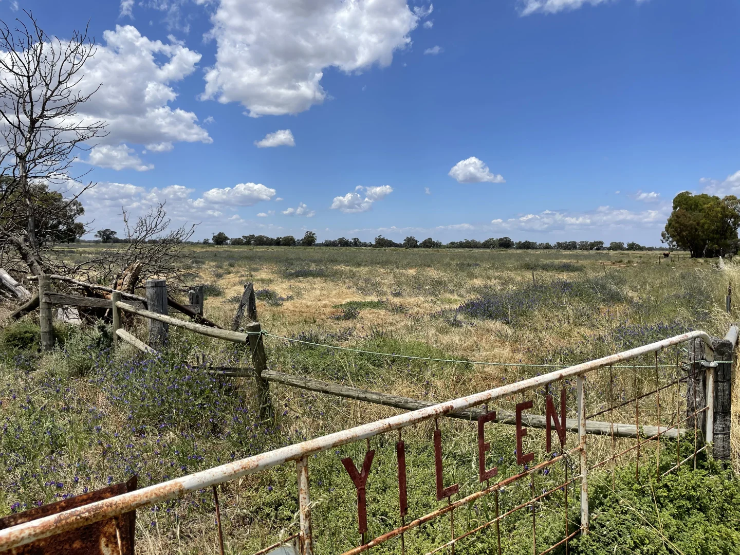 Additional image 31 of 'Yileen' 4371 Moulamein Road, Tullakool NSW 2732