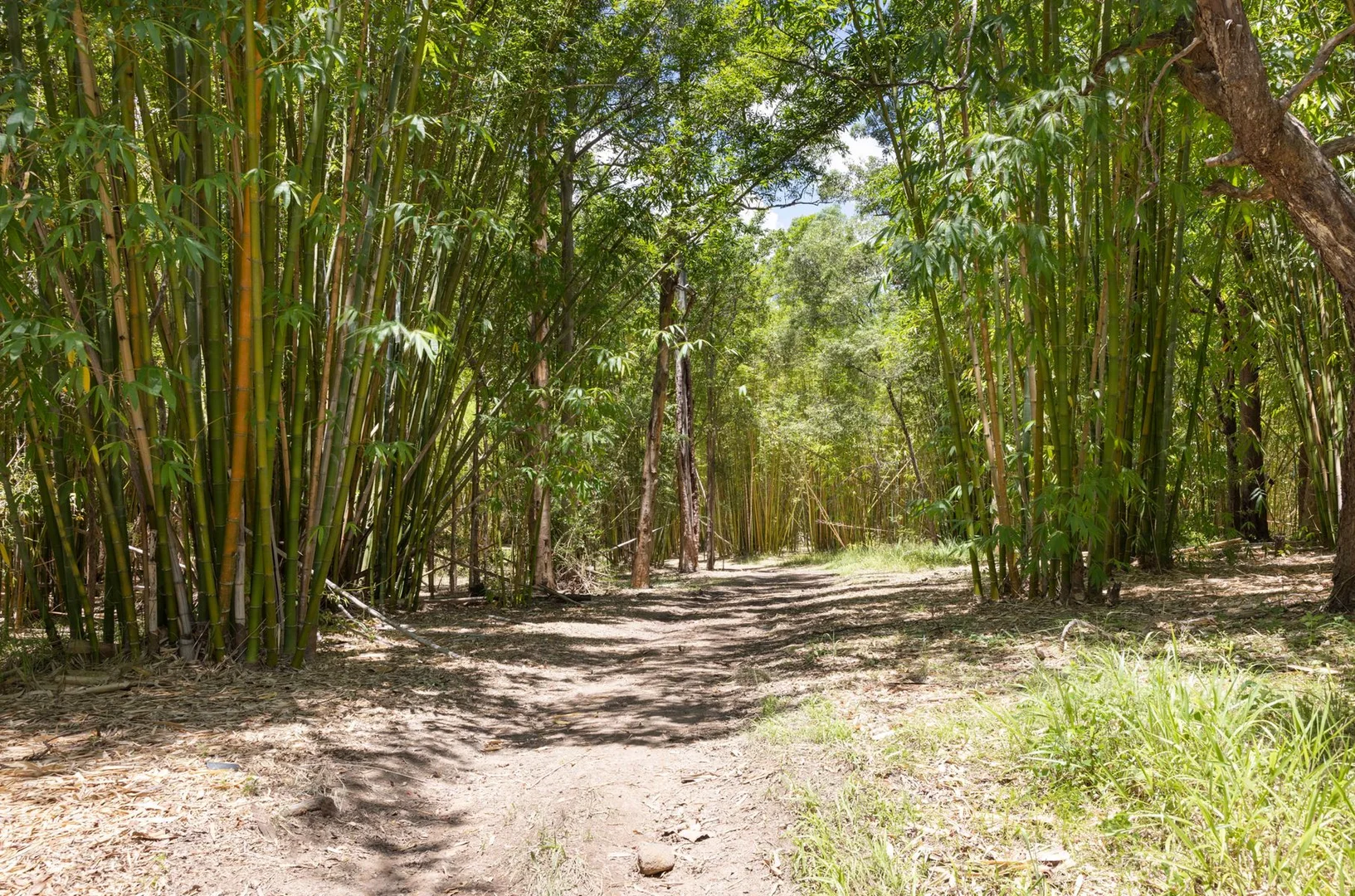 Additional image 7 of 1171 Eumundi - Kenilworth Road, Belli Park QLD 4562