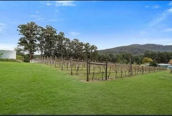 Additional image 13 of 3470 YARRA JUNCTION-NOOJEE ROAD, Piedmont VIC 3833
