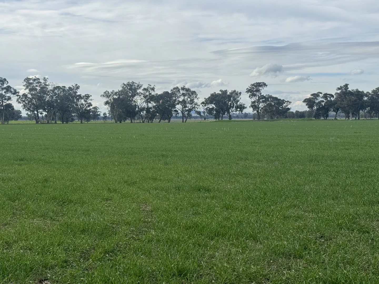 Additional image 2 of 122 Reapers Road, Culcairn NSW 2660