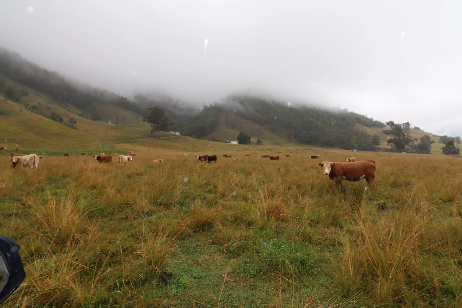 Additional image 6 of 95 Smiths Creek Road, Lower Creek NSW 2440