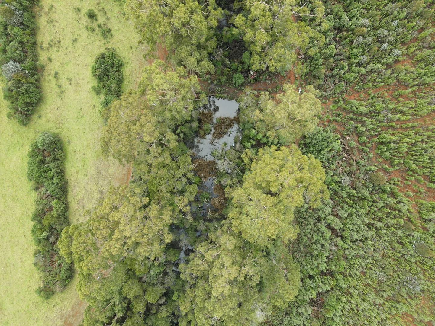 Additional image 9 of 885 Newhaven Road, Mawbanna TAS 7321