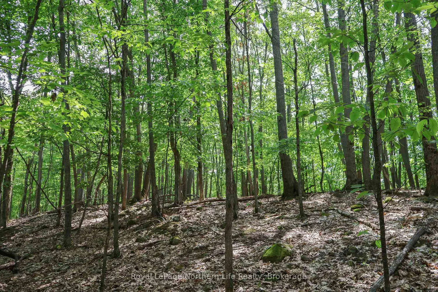 Additional image 4 of Lot 12 South Shore Road