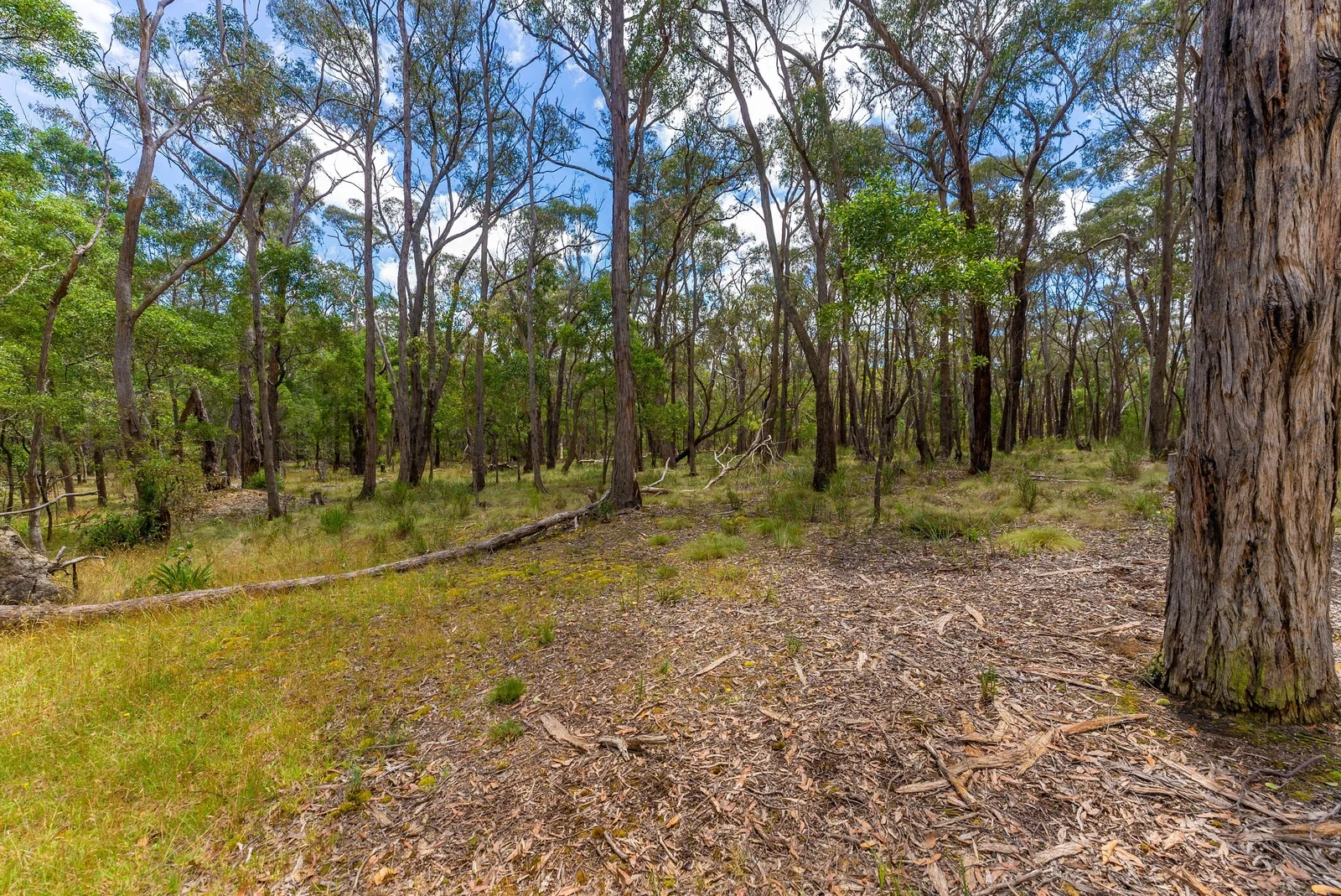 Additional image 8 of Lot 5 Hardies Road, Garibaldi VIC 3352