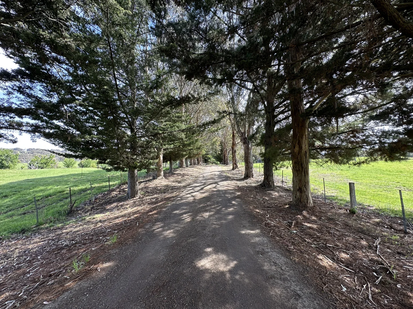 Additional image 7 of 439 Buttercup Road, Merrijig VIC 3723