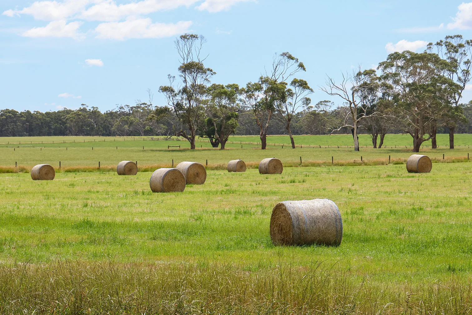 Additional image 18 of 211 Rollos Road, Panmure VIC 3265