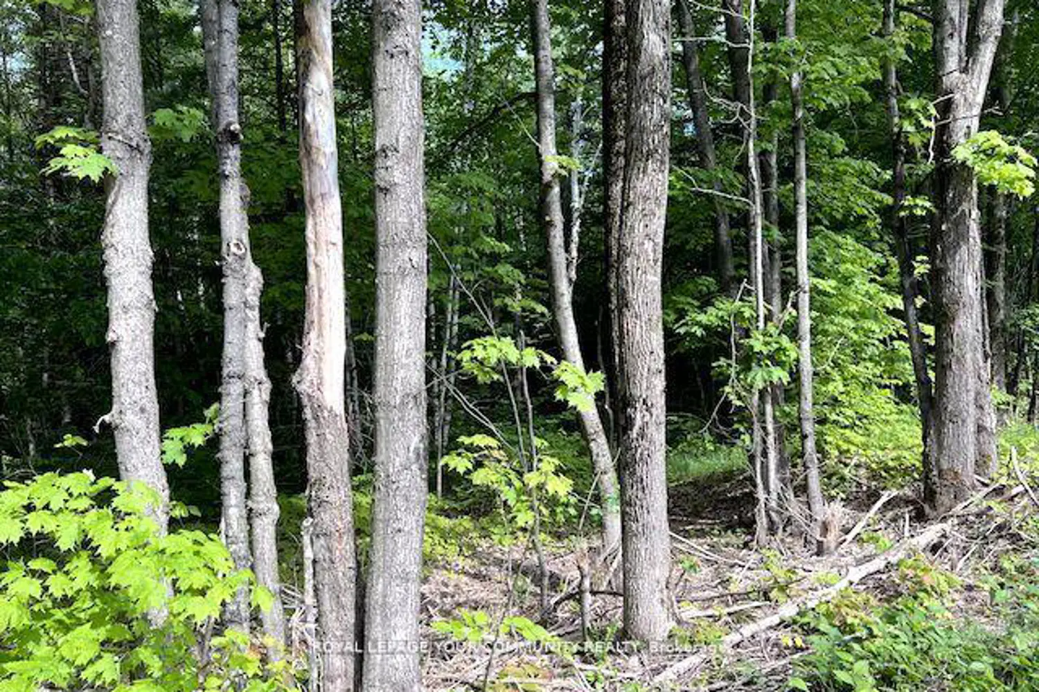 Additional image 7 of N/A Uffington Road