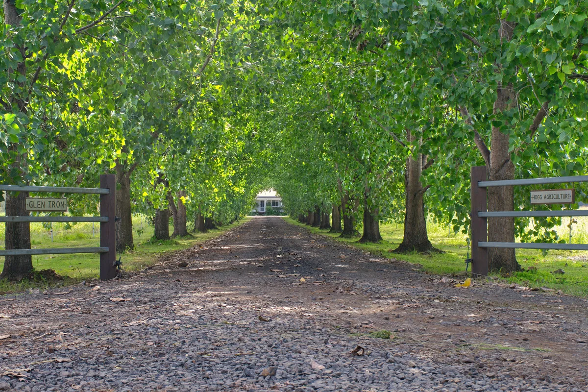 Additional image 5 of 365 Knights Road, Kyogle NSW 2474