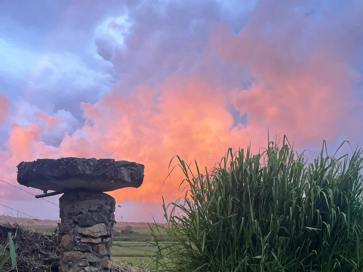 Additional image 16 of 109 Attards Road, Habana QLD 4740