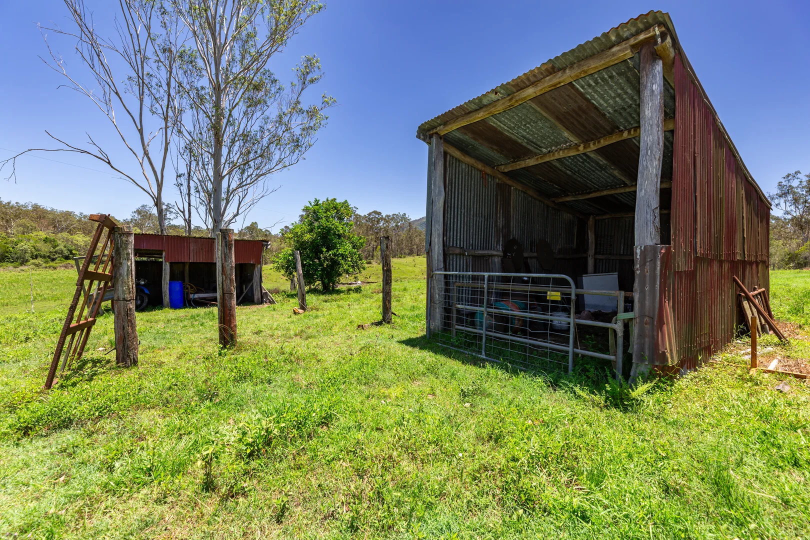 Additional image 24 of 42984 Bruce Highway, Colosseum QLD 4677