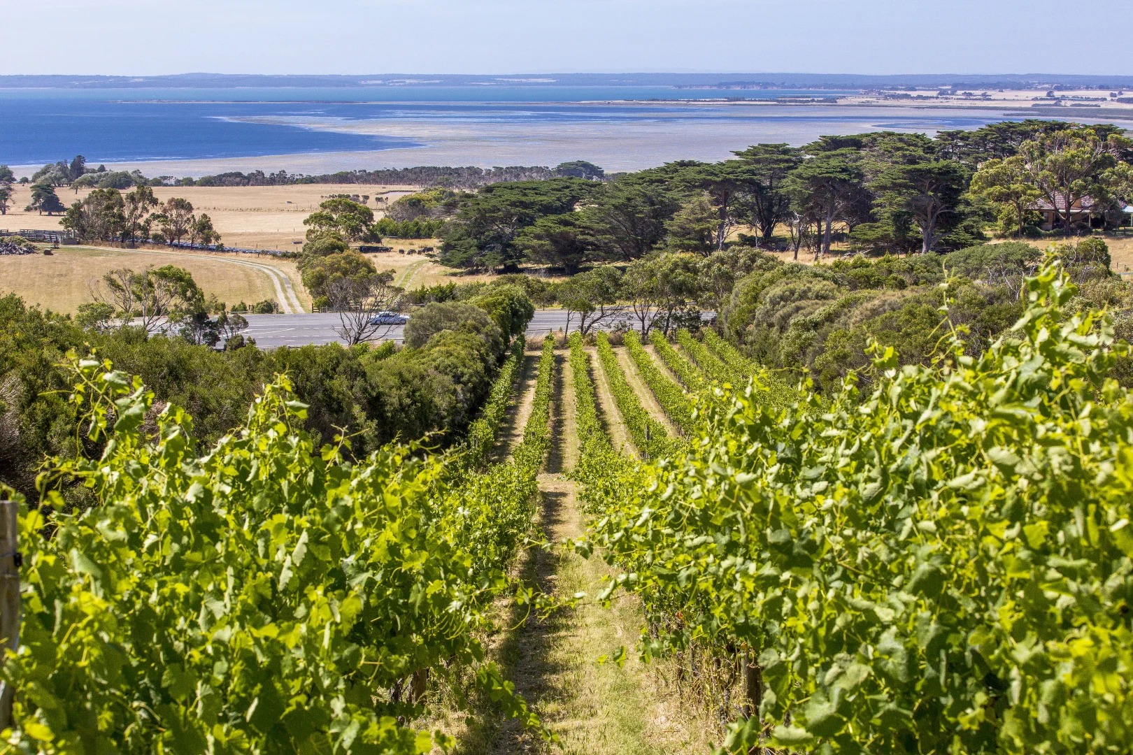 Additional image 27 of 215 Phillip Island Road, San Remo VIC 3925