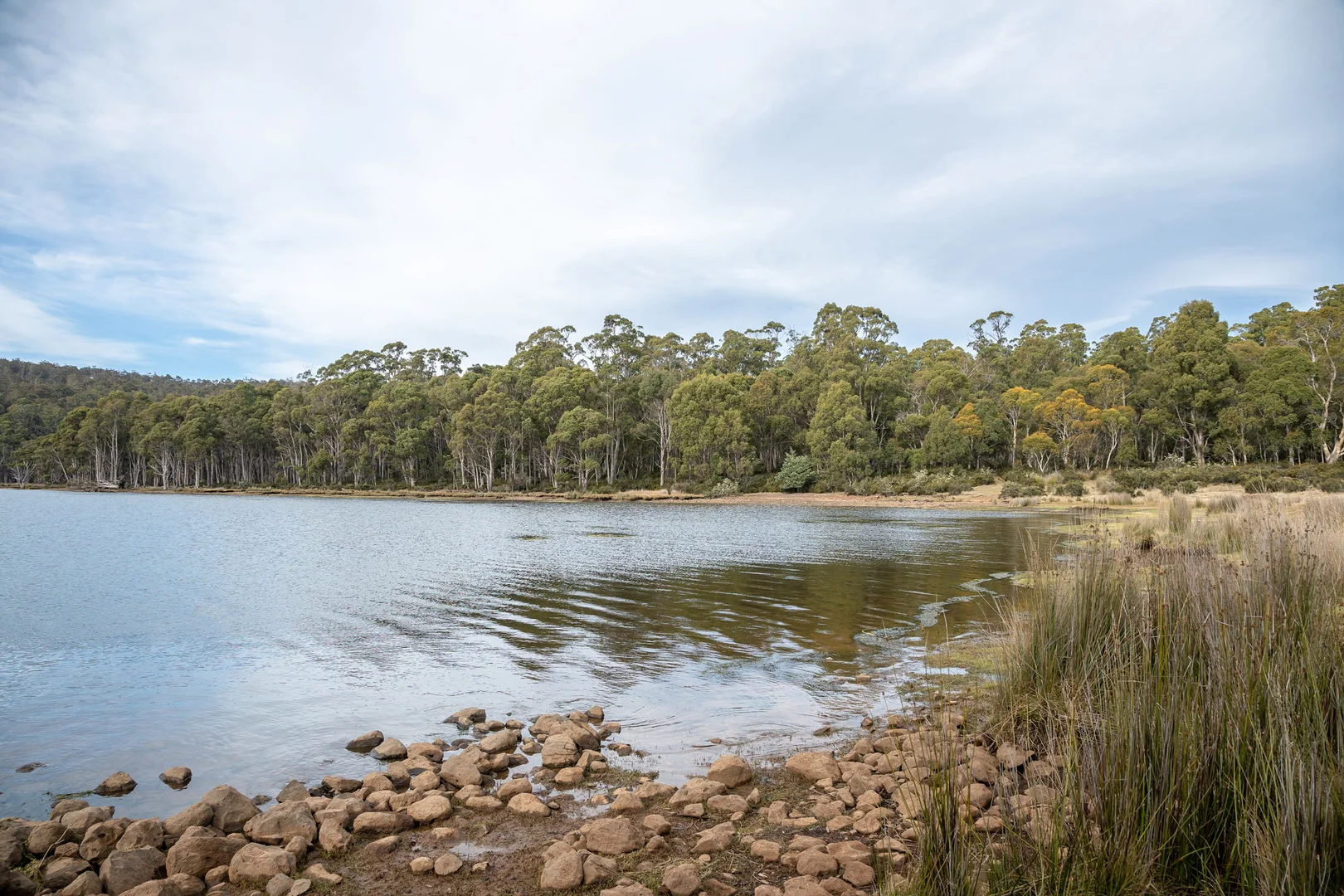 Additional image 14 of 1 & 2/172 Woodwards Bay Road, Bradys Lake TAS 7140