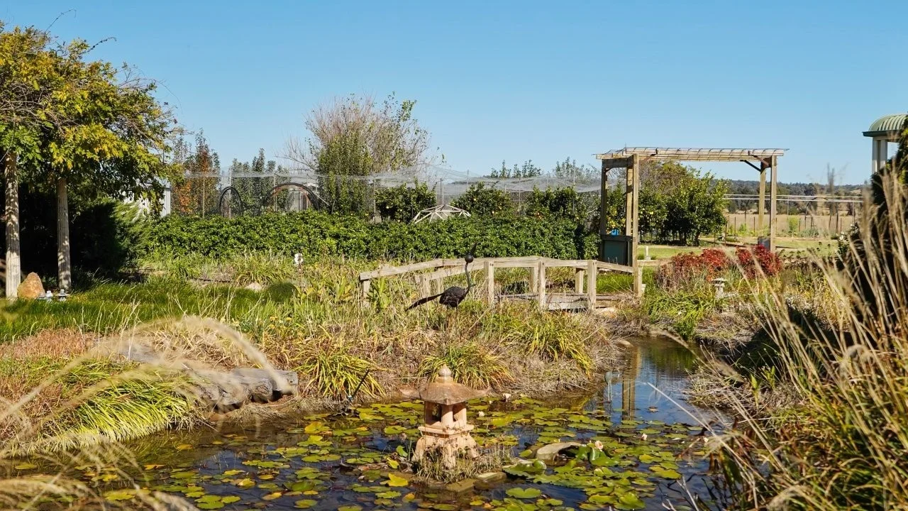 Additional image 36 of 3761 Neilrex Road, Neilrex NSW 2831