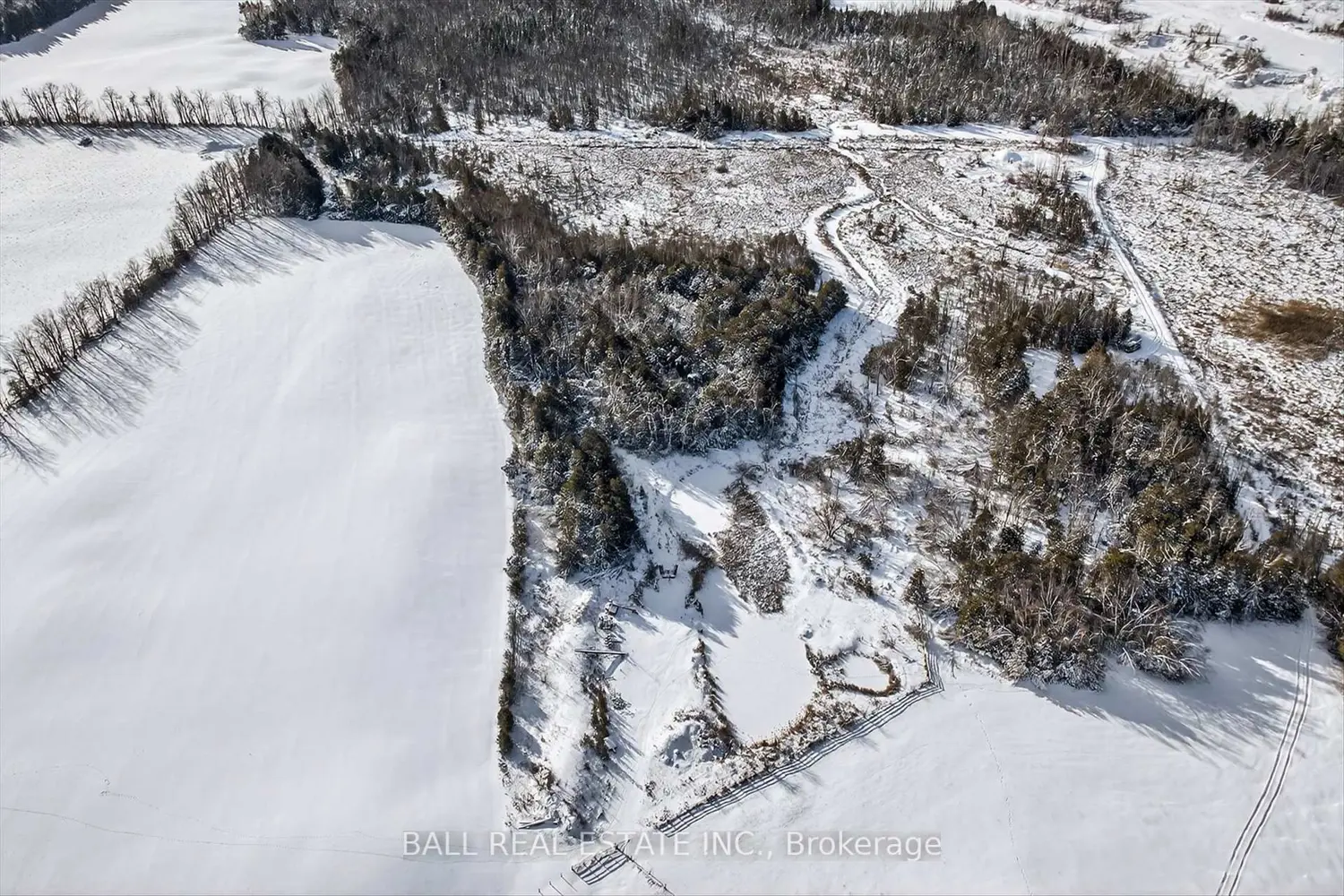 Additional image 19 of 1132 Tara Road