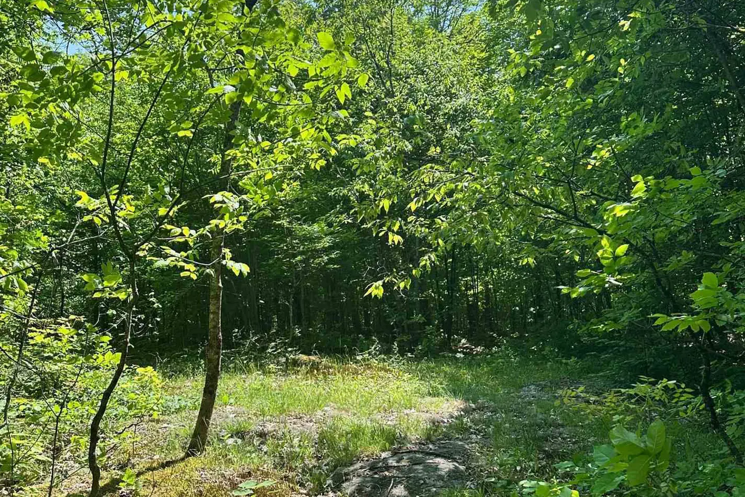 Additional image 11 of 1527 Madill Road