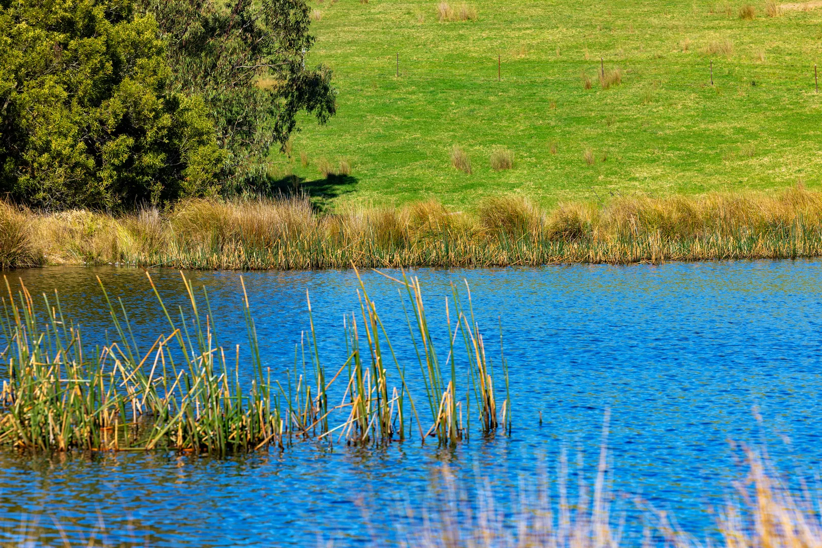 Additional image 43 of 151 Wattle Hill Road, Buchan South VIC 3885