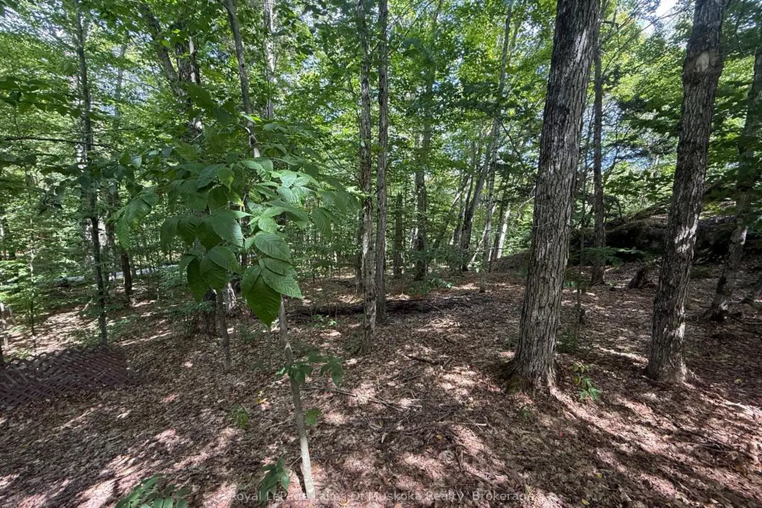 Additional image 12 of Lot 85 Brennan Circle