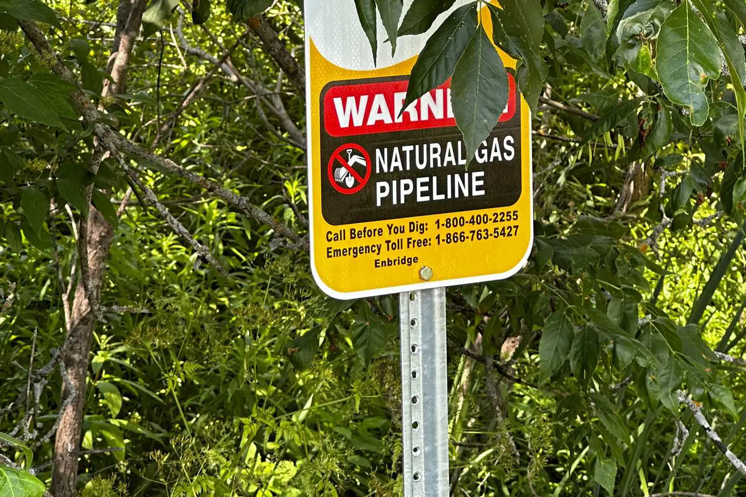 Additional image 14 of 20373 Eigg Road