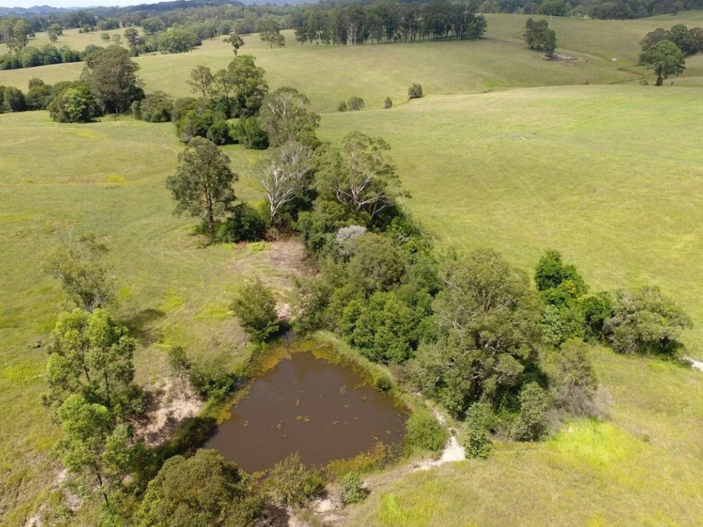 Additional image 10 of 2033 The Bucketts Way, Weismantels NSW 2415