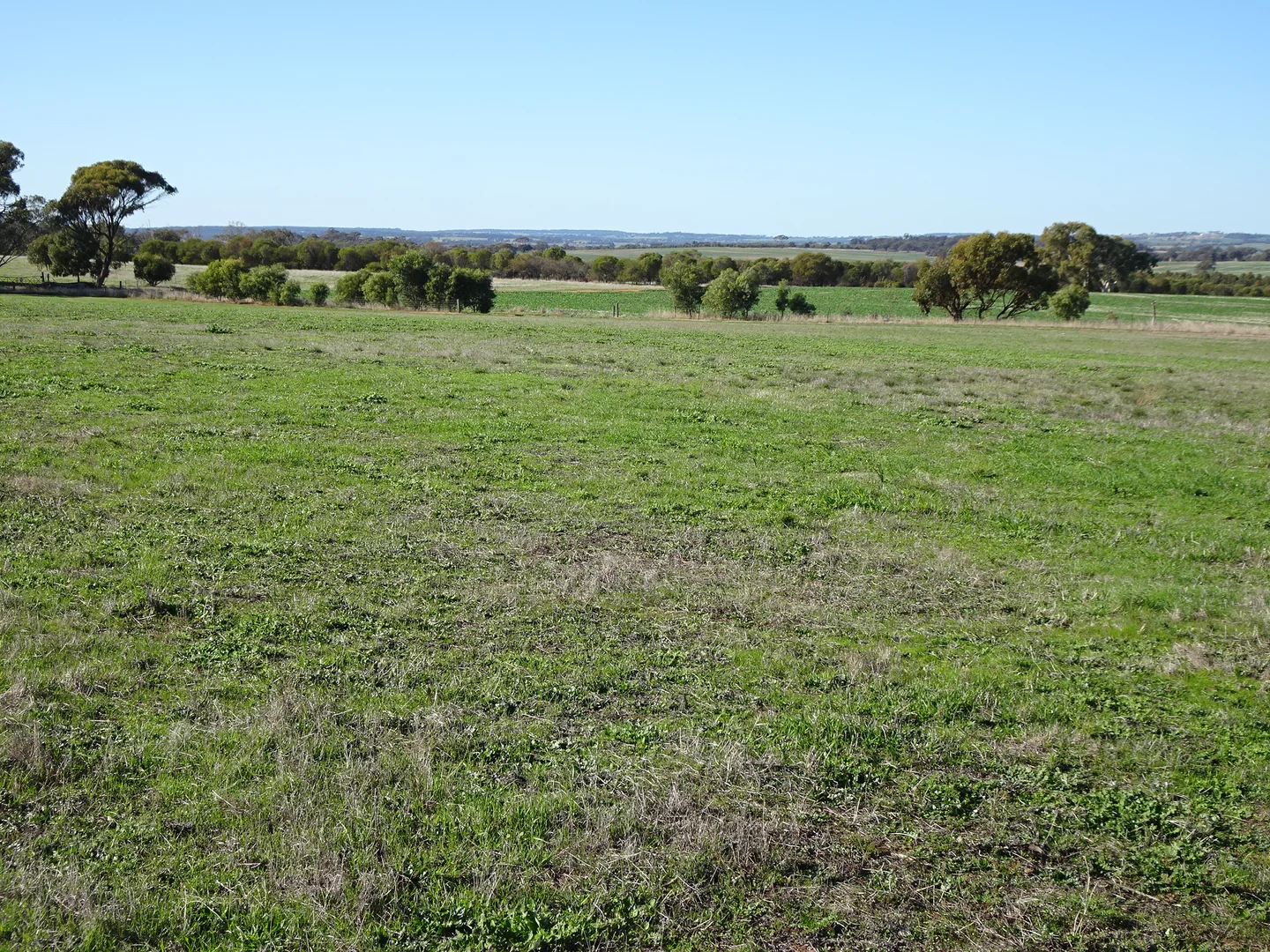 Additional image 26 of Shaddick Road, East Pingelly WA 6308