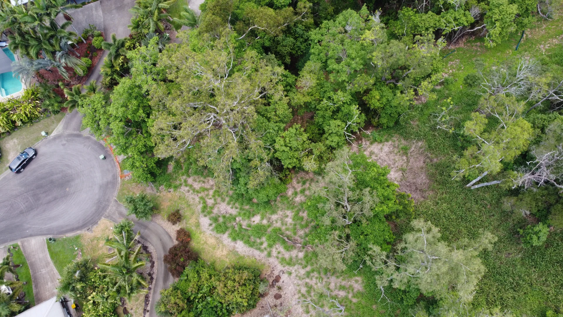 Additional image 14 of 52 Tropic Road, Cannonvale QLD 4802