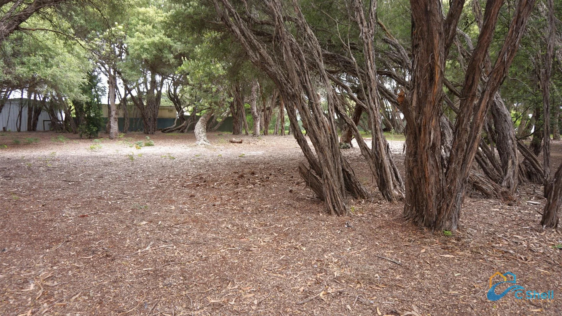 Additional image 5 of 27 Carroll Street, Loch Sport VIC 3851