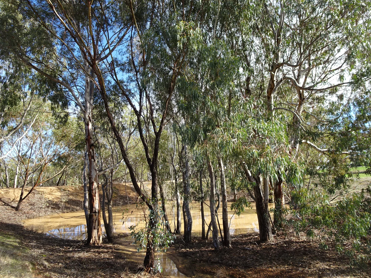 Additional image 5 of Shaddick Road, East Pingelly WA 6308