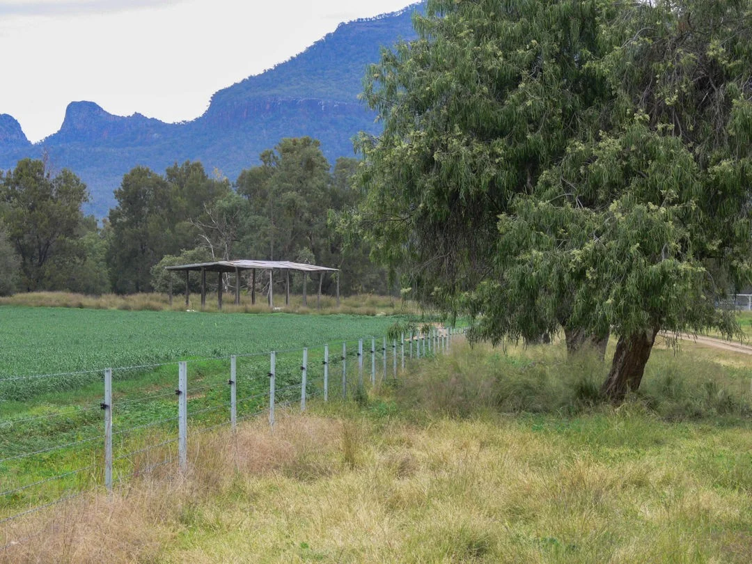 Additional image 30 of The Glen, Berrigal NSW 2390