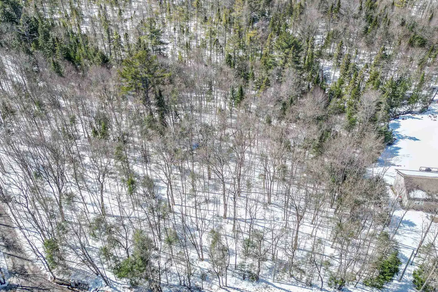 Additional image 4 of 989 North Waseosa Lake Road