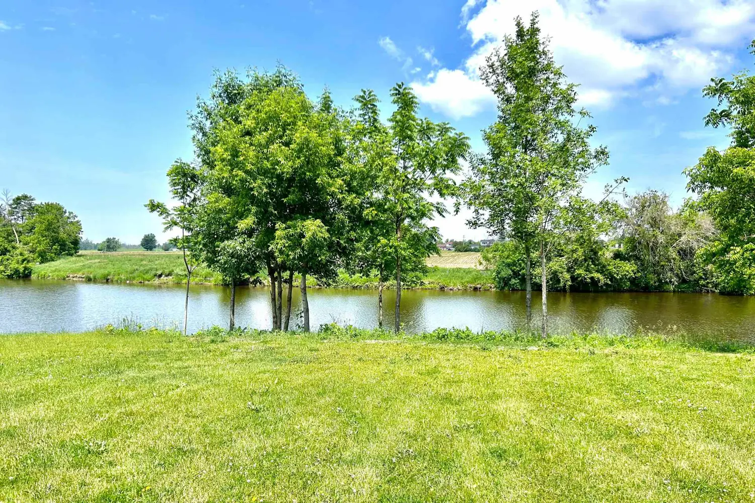 Additional image 5 of 67 Erin Avenue