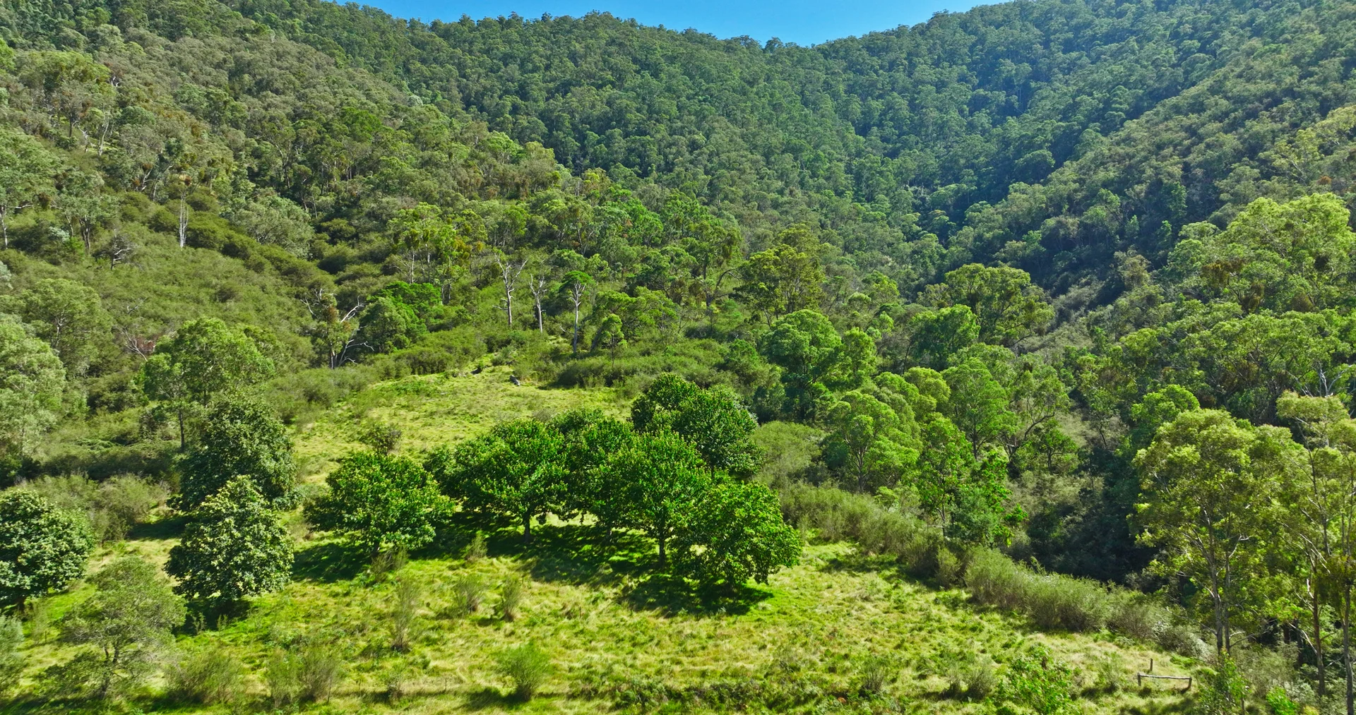 Additional image 5 of CA 9 Sec 20 Wonnangatta Road, Dargo VIC 3862