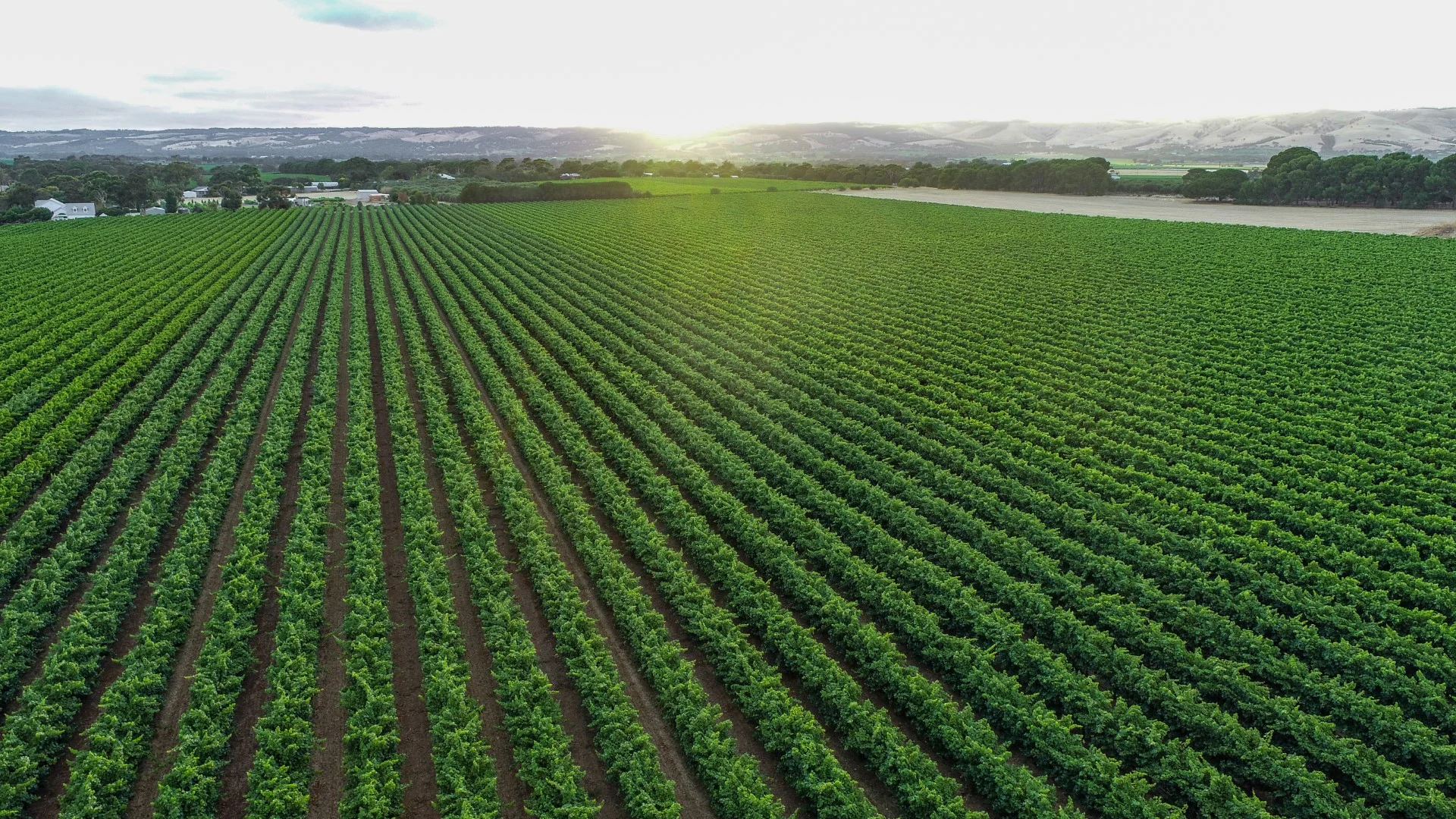 Additional image 7 of Lot 422 Little Road, Aldinga SA 5173