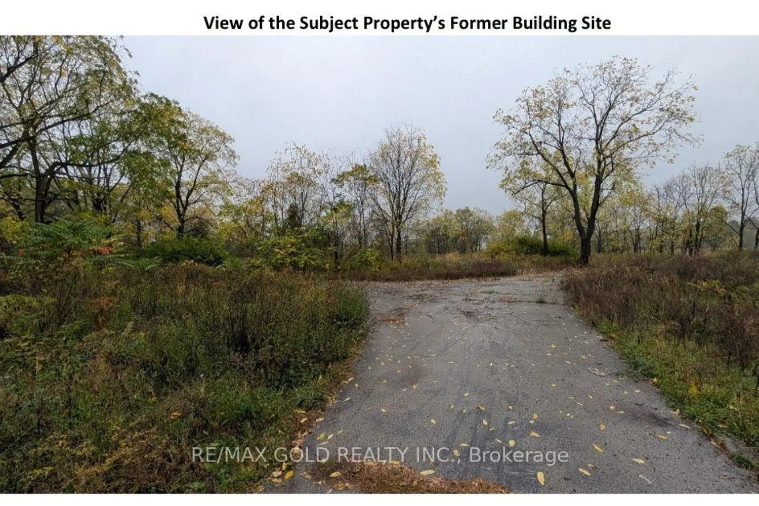 2029 Laur Drive photo 5