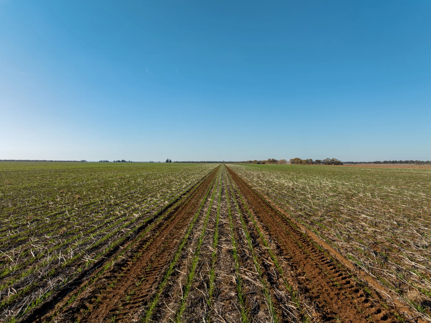 Additional image 3 of 609 Barragunda Road, Urana NSW 2645