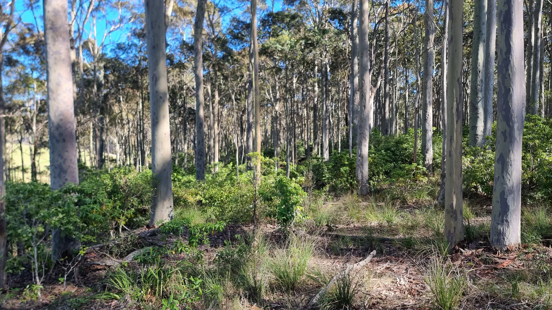 Additional image 9 of 16 Mystery Bay Road, Mystery Bay NSW 2546