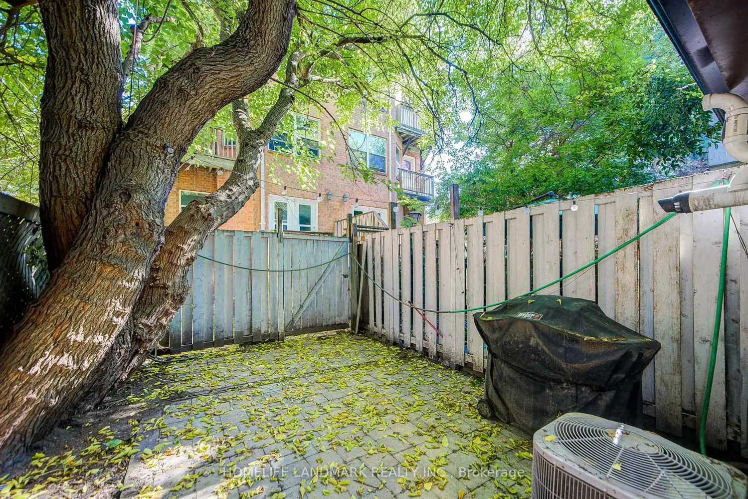 Additional image 19 of 237 Ontario Street