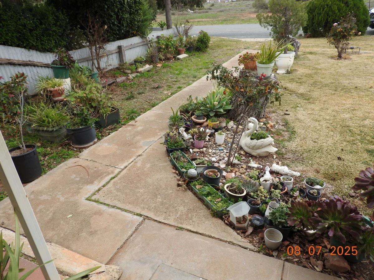 Additional image 5 of 4 Mungo Street, Balranald NSW 2715