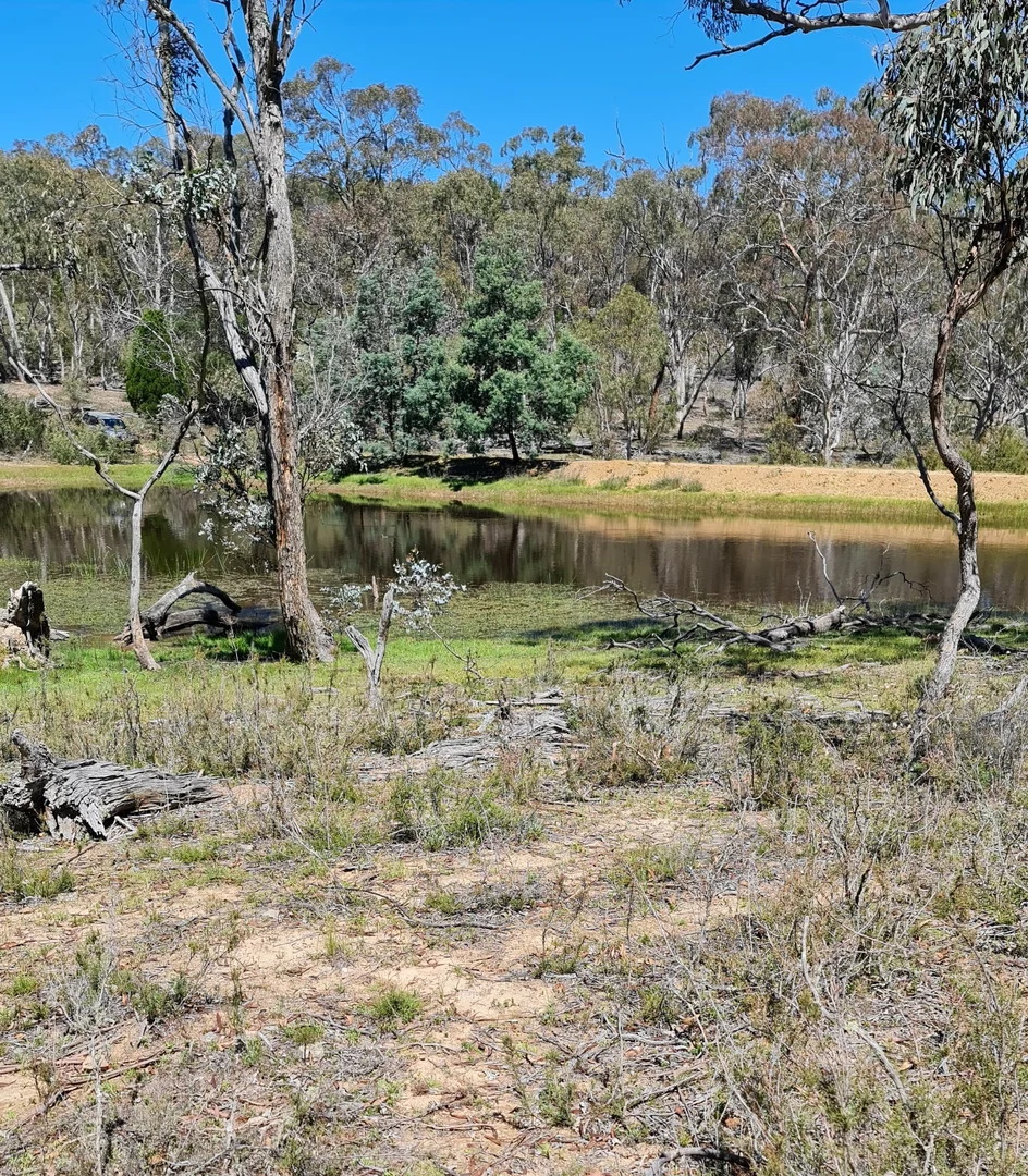 Additional image 3 of Lot 34 Palarang Road, Merriangaah NSW 2632